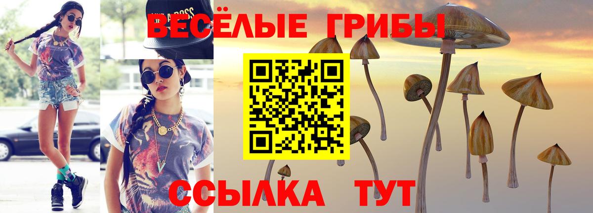 Псилоцибиновые грибы мухоморы Дятьково