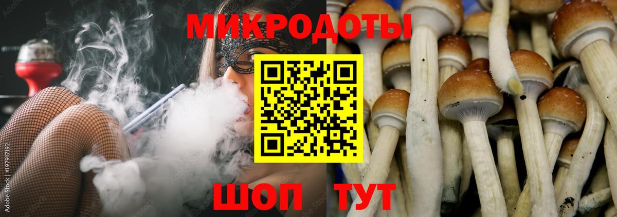Галлюциногенные грибы Magic Shrooms  Псилоцибиновые грибы мицелий  Дятьково  Вход с VPN 